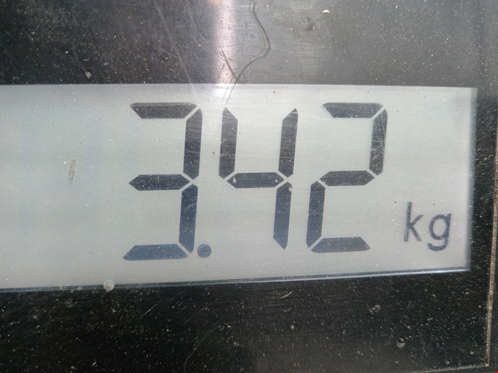 Блок педалей (педальный узел) RENAULT Scenic II 2003-2010