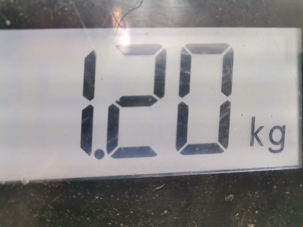 Динамик BMW 5er 5 серия E39 1995-2004