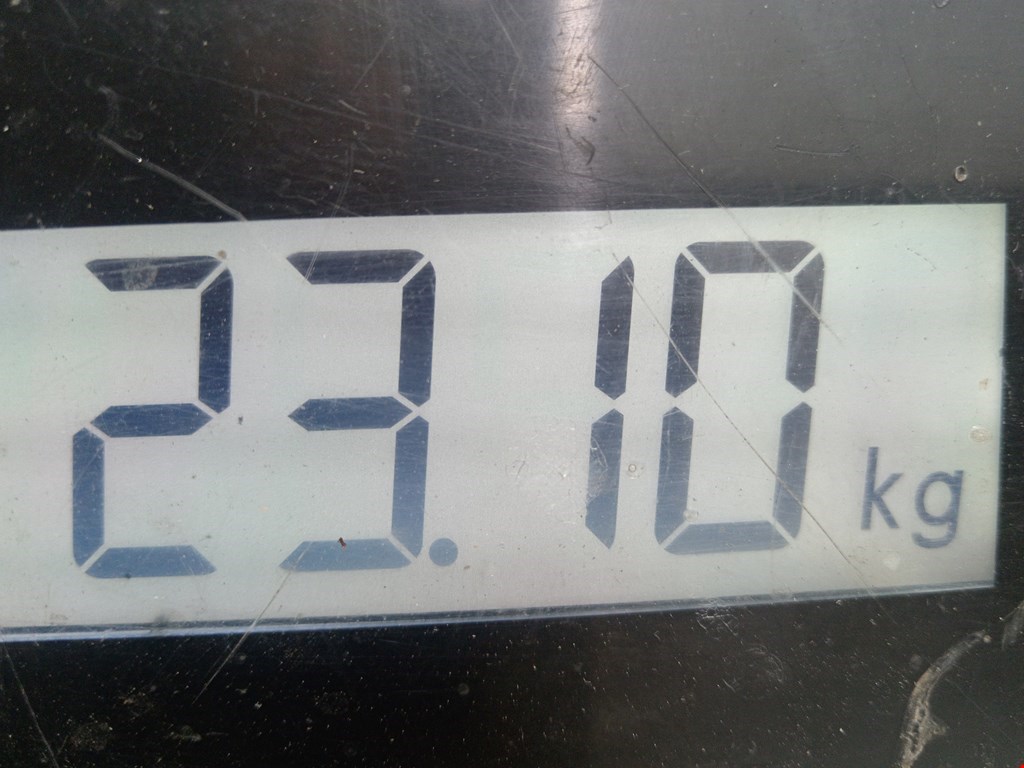 Маховик (демпфер сцепления) MERCEDES-BENZ Sprinter 901-905/Classic 909 1995-2006