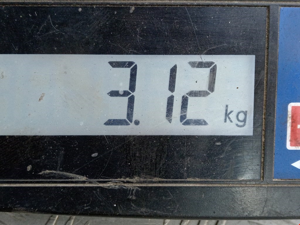 Усилитель переднего бампера (передний) CITROEN C5 I 2001-2008