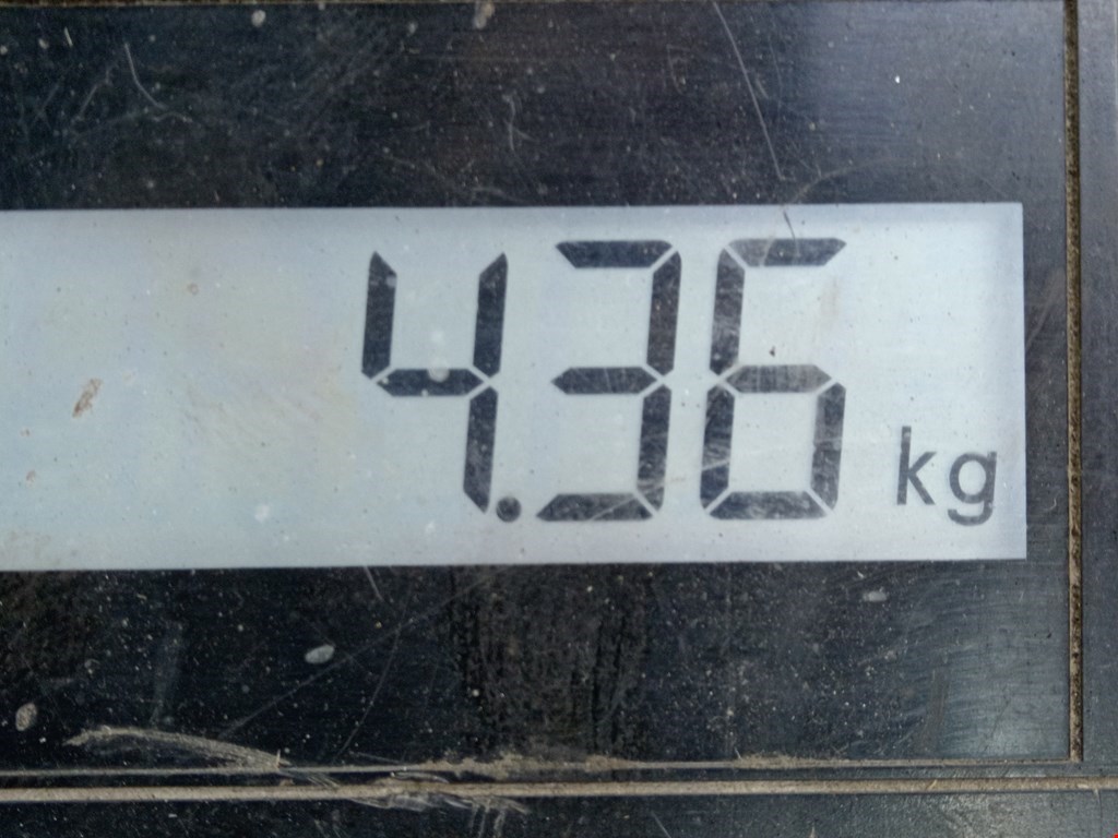 Усилитель переднего бампера (передний) OPEL Tigra B 2004-2009