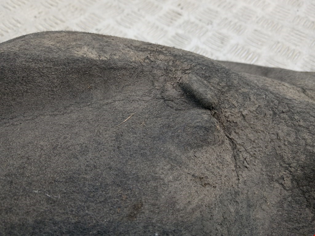 Локер (подкрылок) задний правый MAZDA Premacy CP 1999-2004