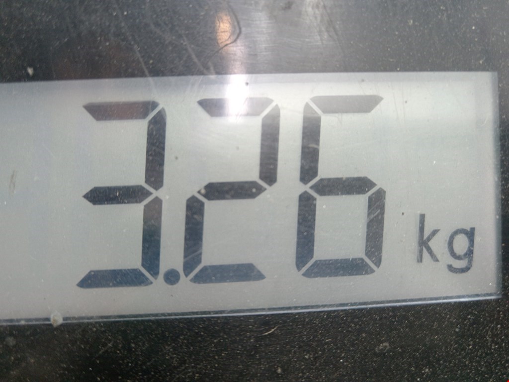 Стартер KIA Sportage I 1993-2005