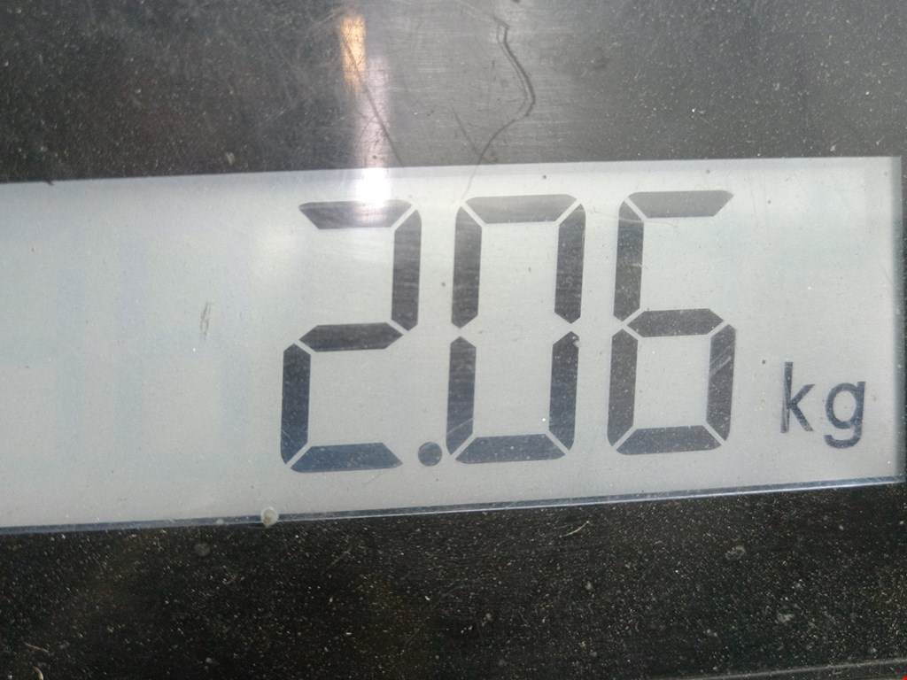 Фара левая KIA Carnival I 1999-2005