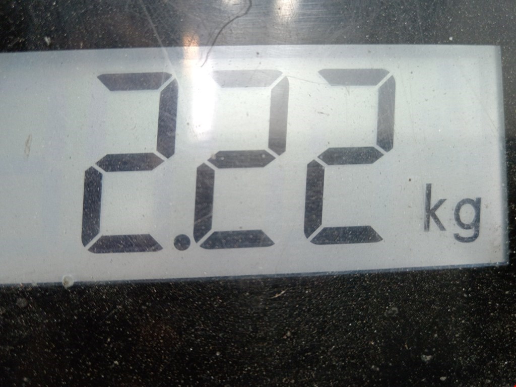 Фара левая NISSAN X-Trail T30 2000-2007