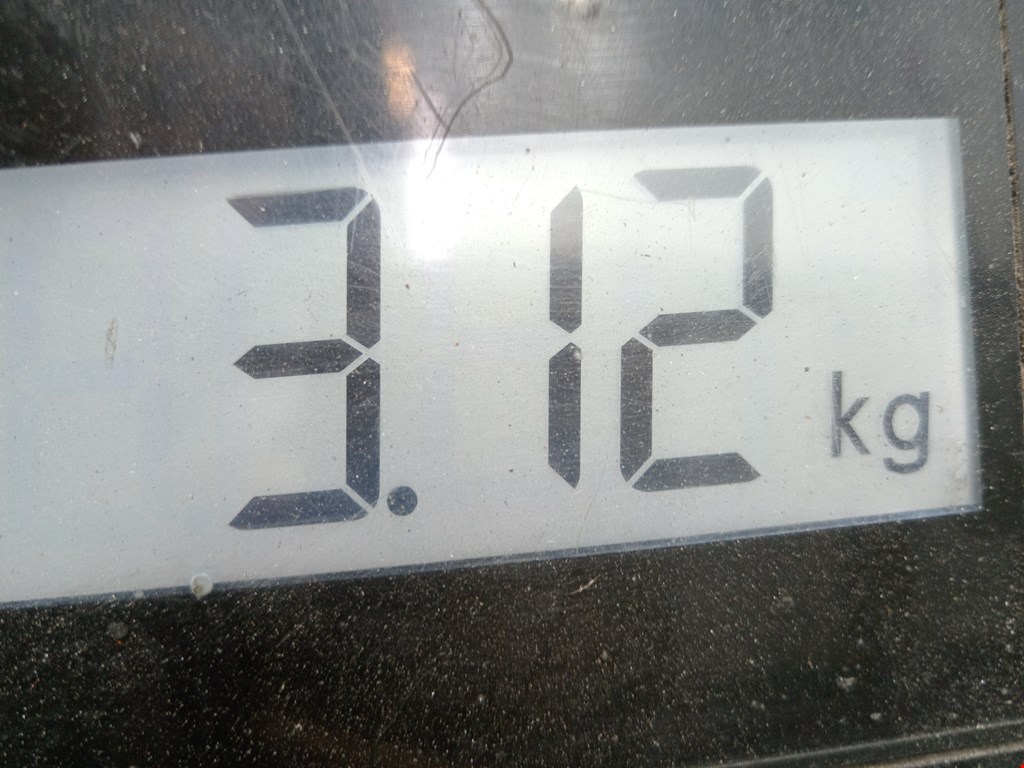 Фара левая BMW X5 E53 1999-2006