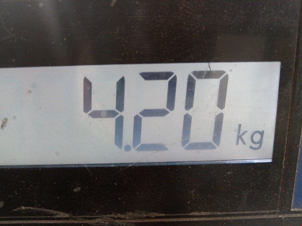 Бампер задний LAND ROVER Range Rover 2012-2022