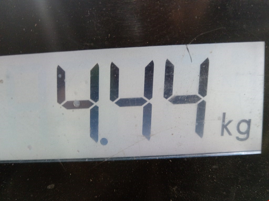 Бампер задний LAND ROVER Range Rover 2012-2022