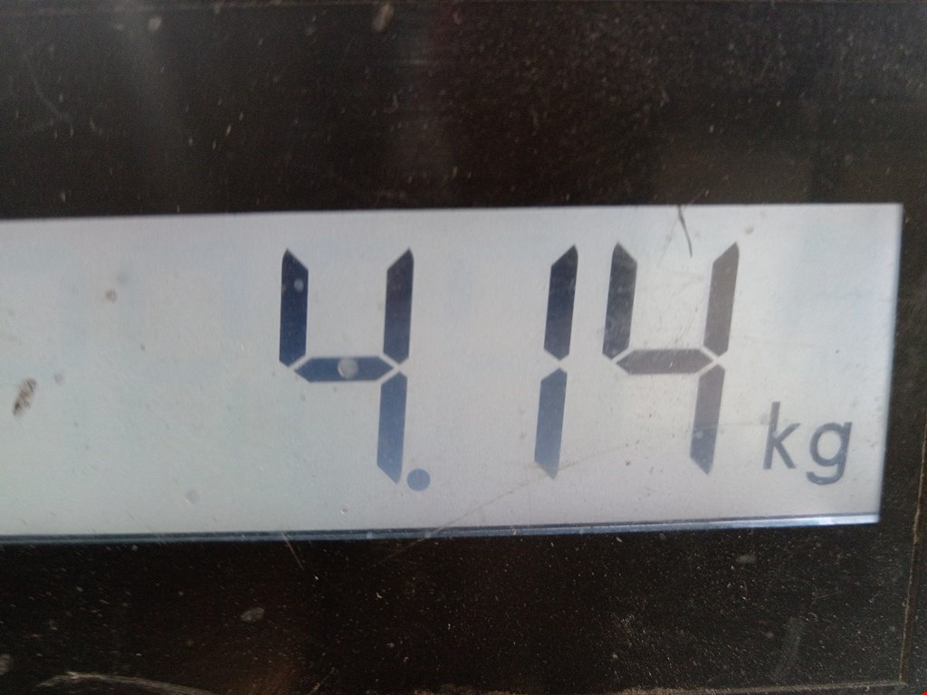 Бампер задний LAND ROVER Range Rover 2012-2022