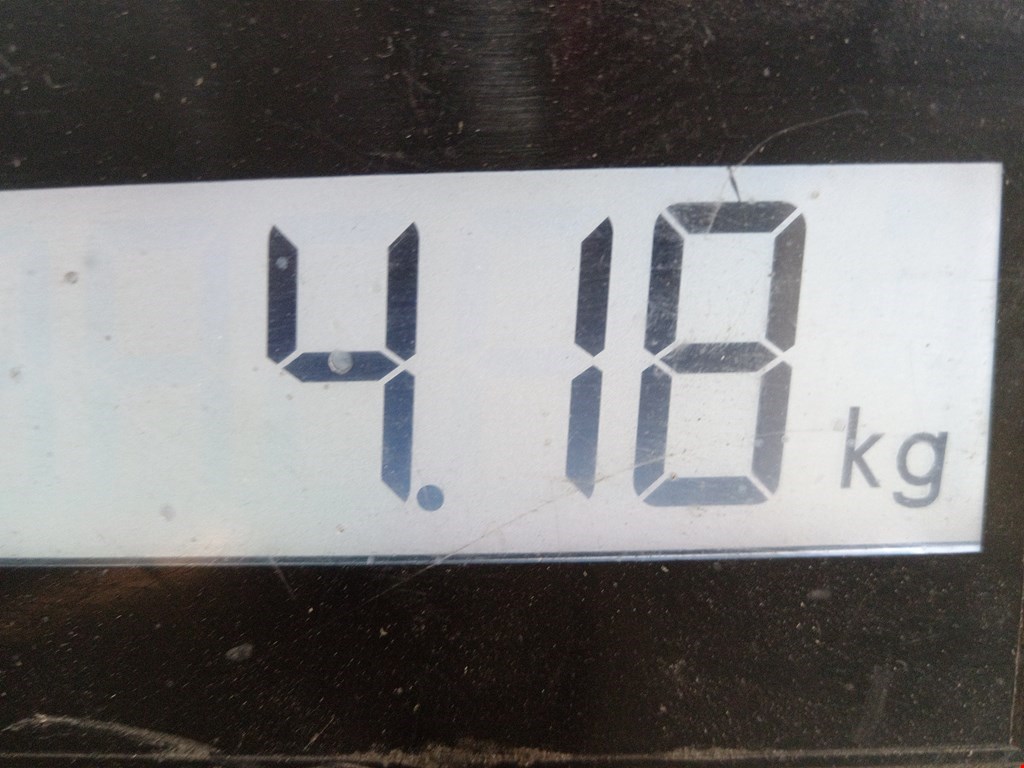 Бампер задний LAND ROVER Range Rover 2012-2022