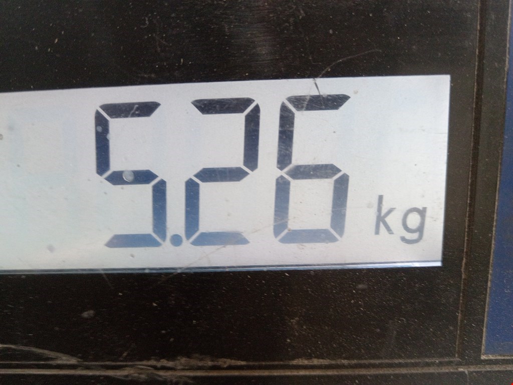 Бампер передний ROVER 200 III R3 1995-1999