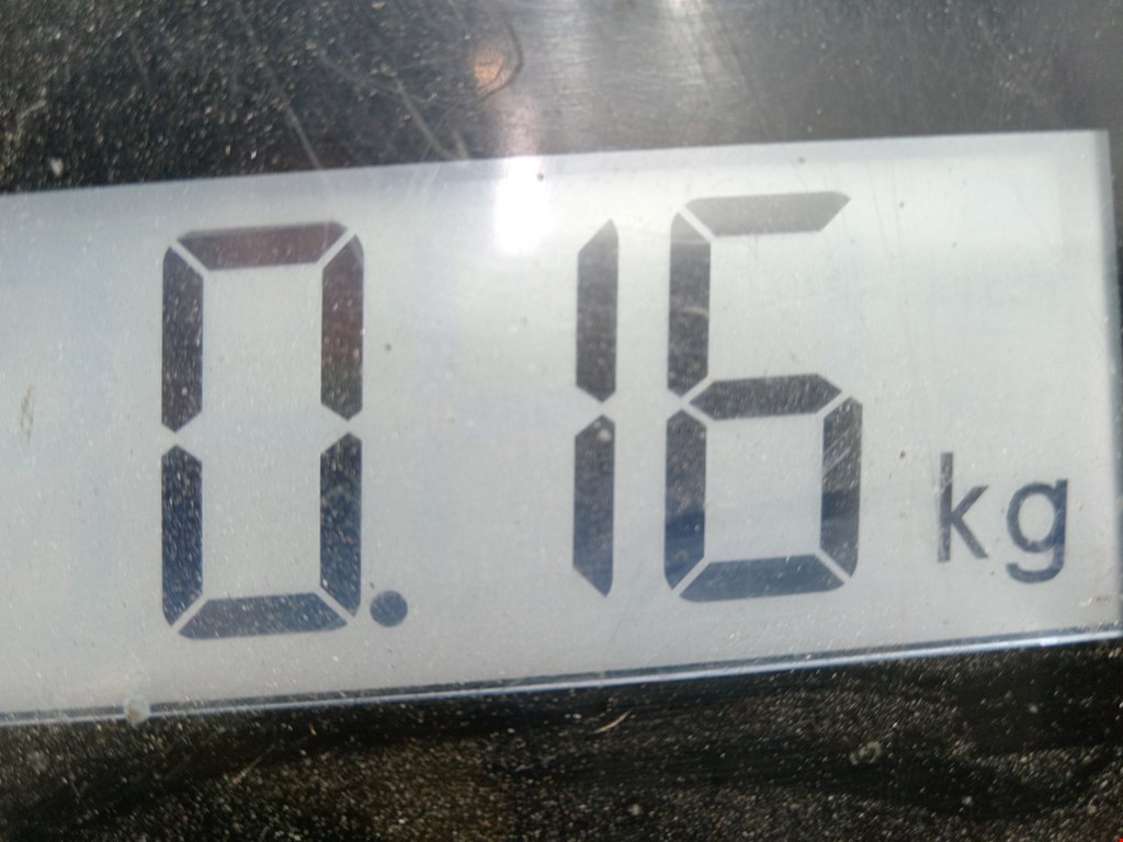 Сигнал звуковой (гудок клаксон) DODGE Nitro 2006-2011