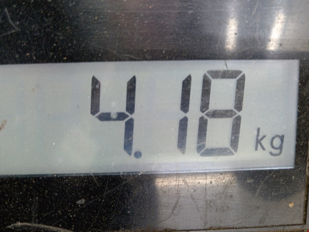 Бампер передний TOYOTA Land Cruiser Prado 150 2009-2024