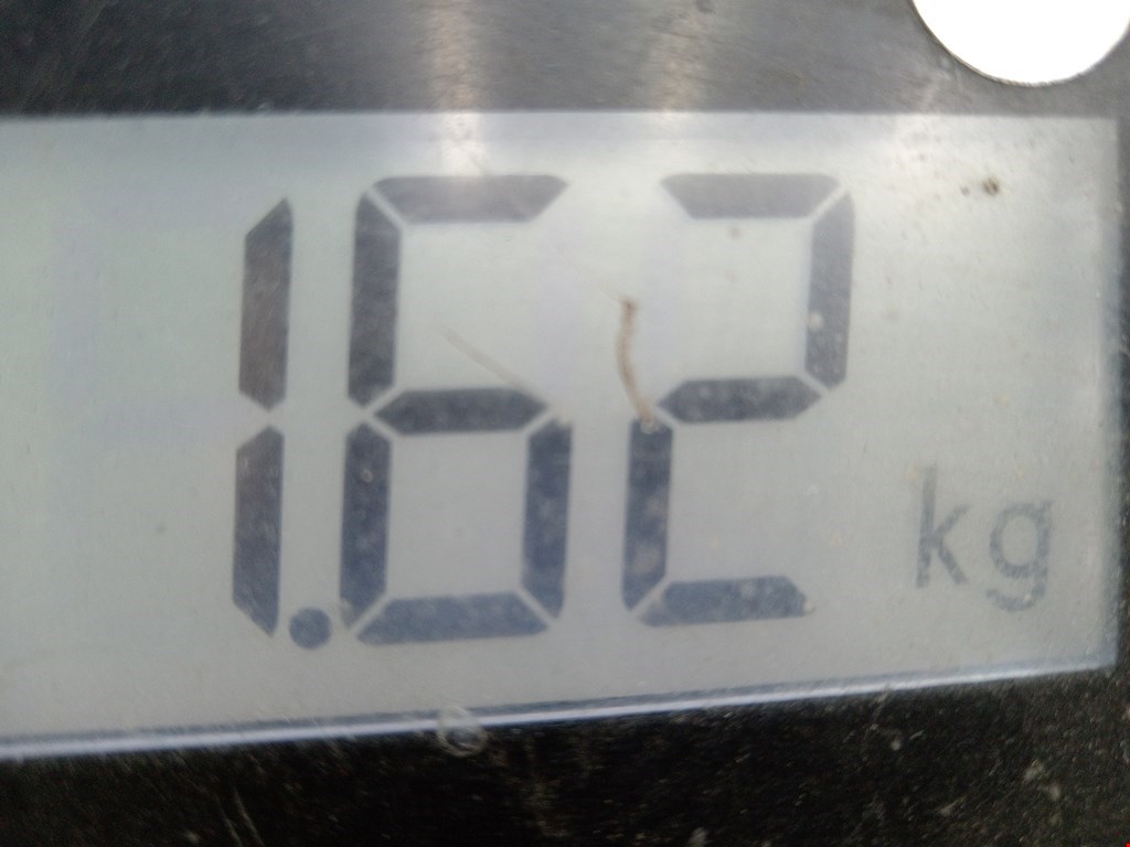 Фонарь задний правый KIA Carnival II 2006-2014