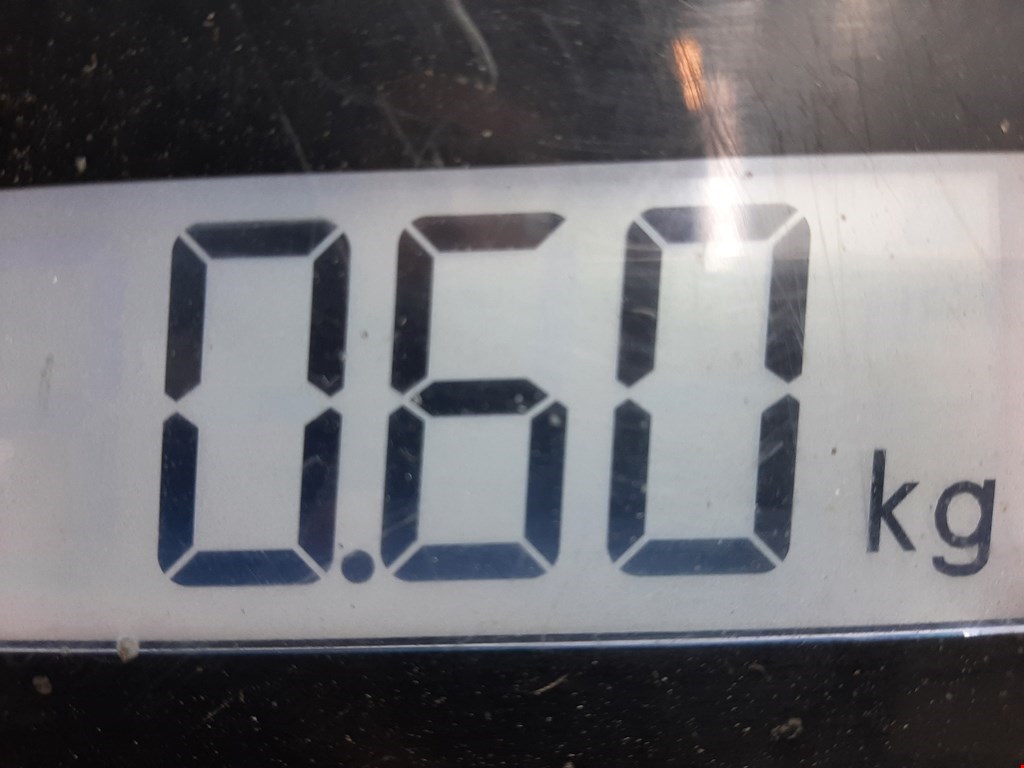 Фара противотуманная левая (ПТФ) BMW 5er 5 серия E39 1995-2004