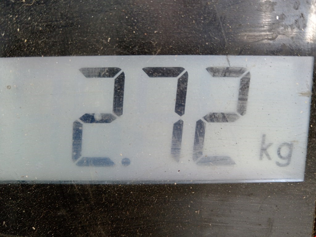 Кулиса (селектор) АКПП/МКПП в салоне VOLKSWAGEN Polo IV 2001-2009