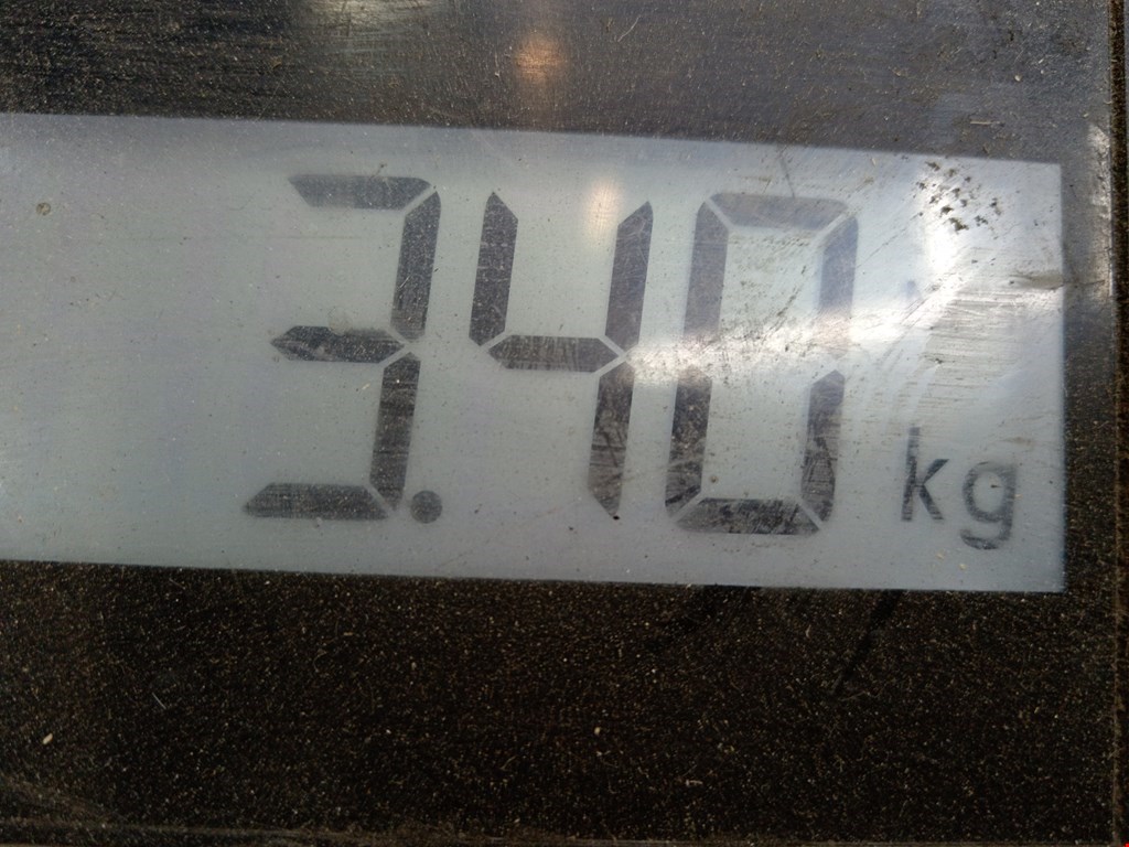 Бампер передний LADA (VAZ) Kalina 1 2004-2013