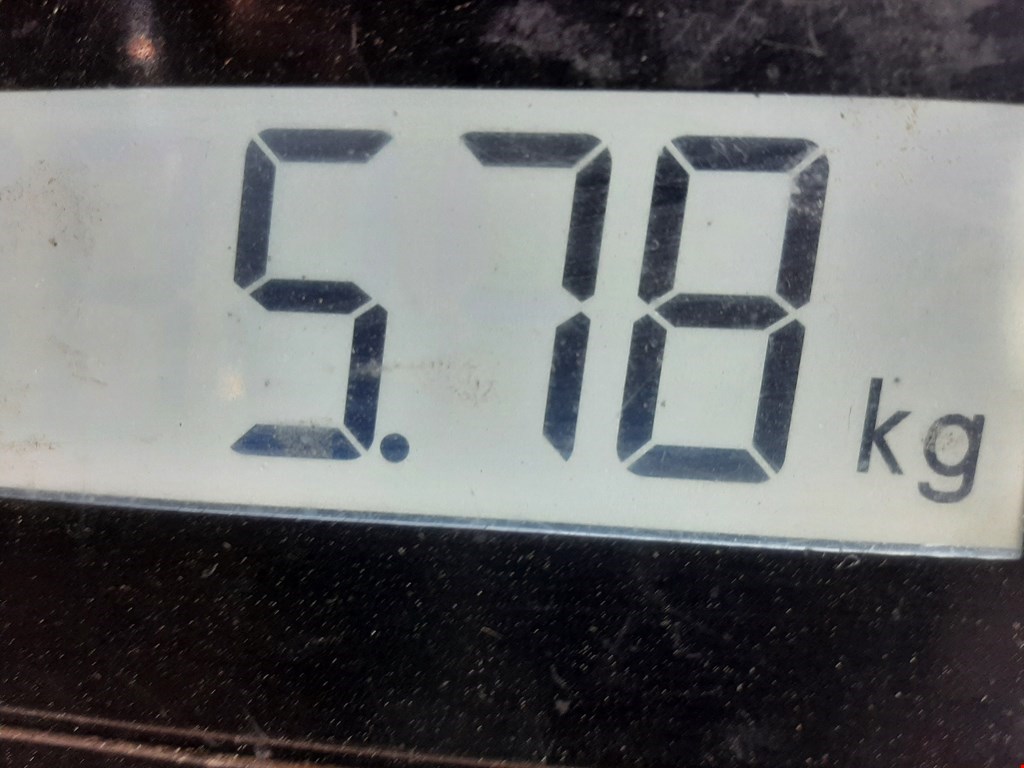 Бампер задний AUDI 80 B3 1986-1991