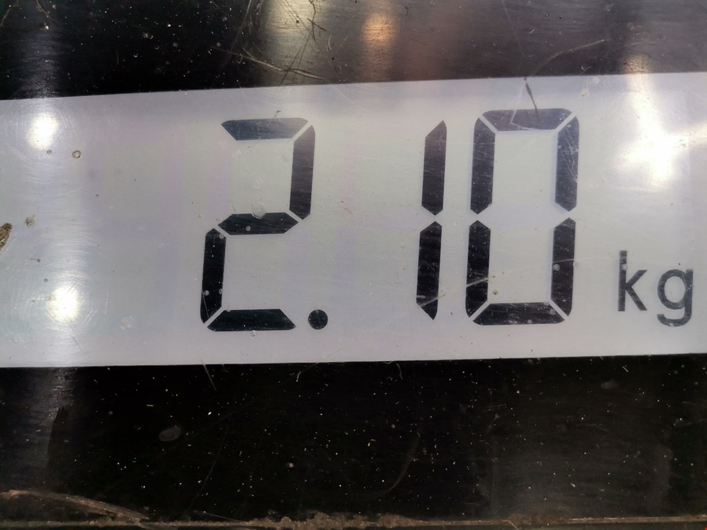 Крыло переднее правое KIA Rio IV 2017-н.в.