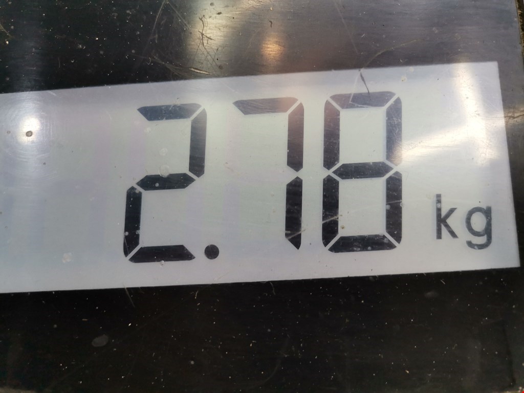 Крыло переднее правое OPEL Signum 2003-2008