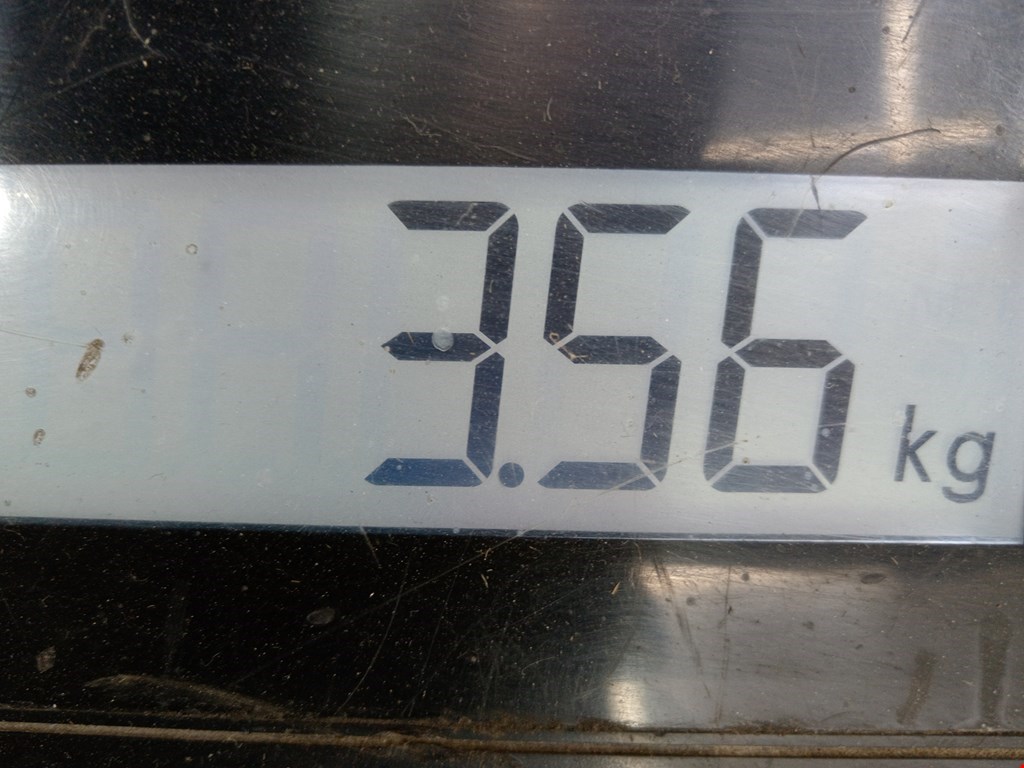 Крыло переднее левое LEXUS GS 1991-1997