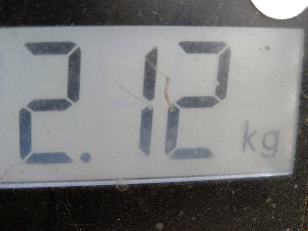 Коллектор впускной VOLKSWAGEN Passat B6 2005-2011