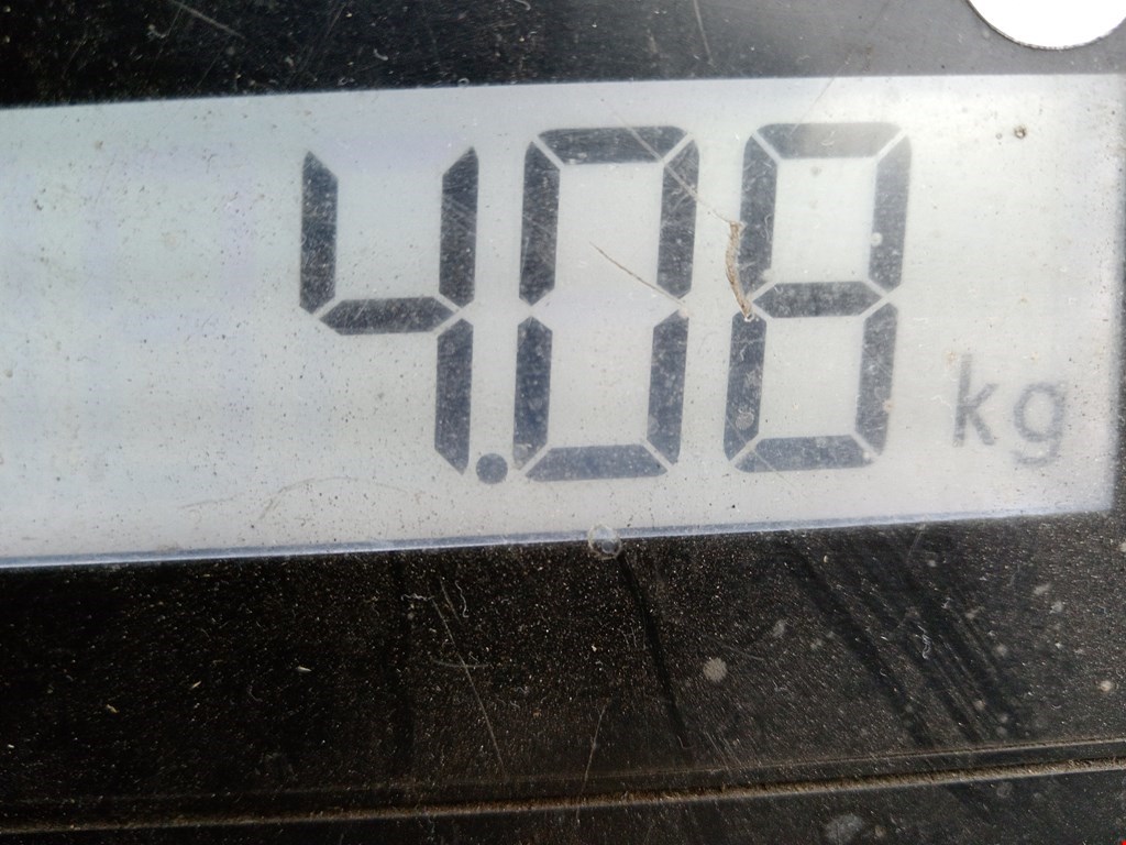 Стартер BMW 1er E81\E87 2004-2011