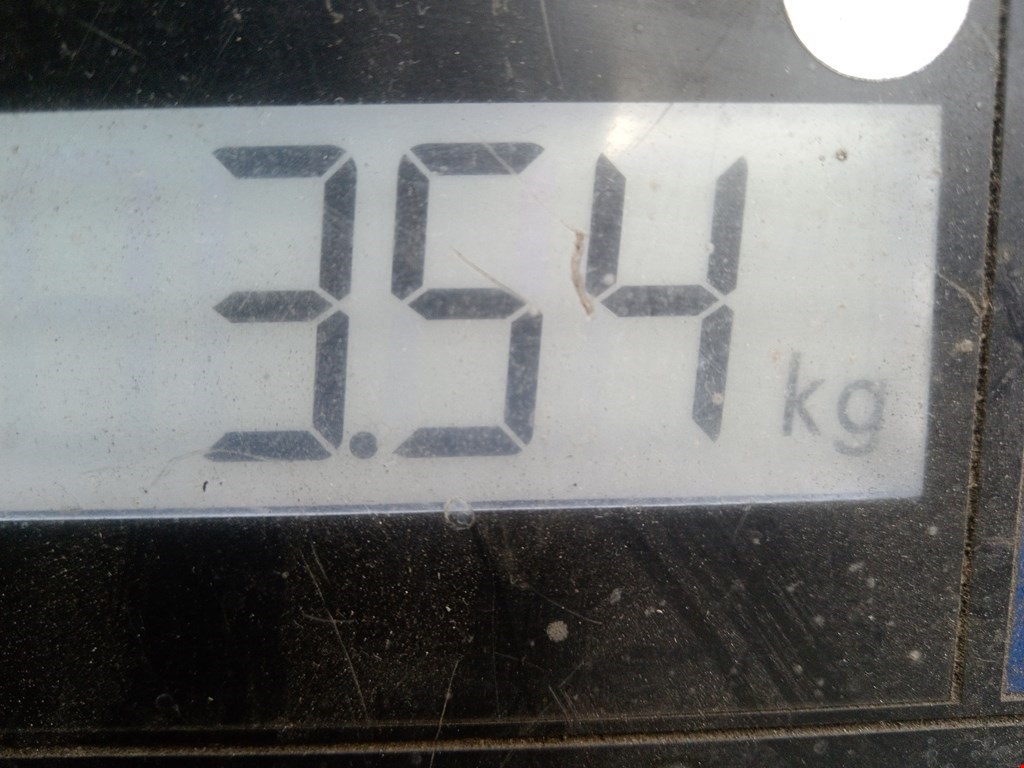 Шестерня коленвала (шкив) CHRYSLER Voyager IV RG 2001-2007