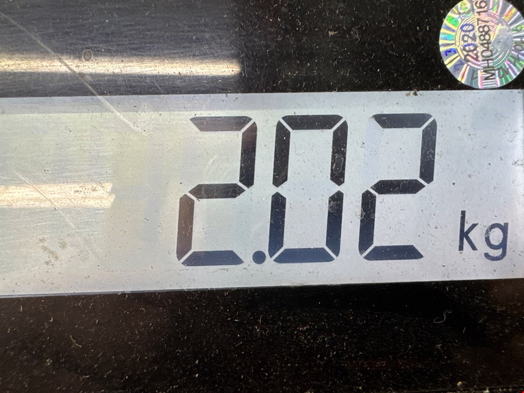 Амортизатор задний правый SEAT Toledo 1998-2004