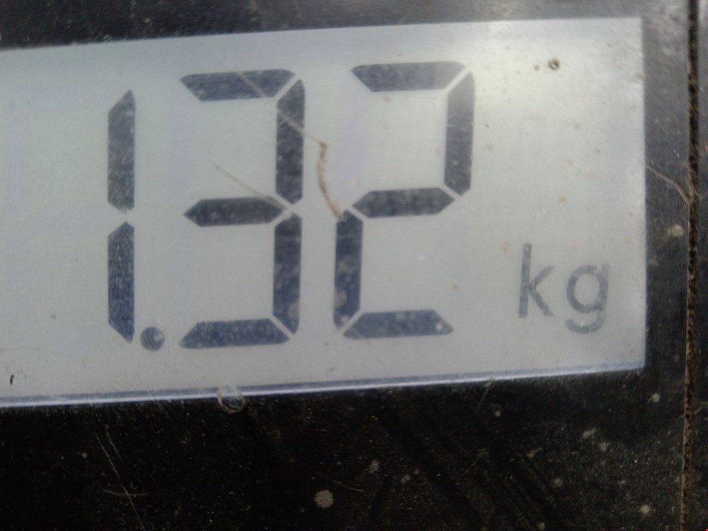 Кронштейн генератора RENAULT Captur II 2019-н.в.