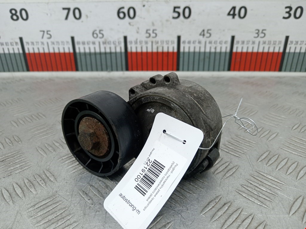 Натяжитель ремня генератора (приводного поликлинового ремня Peugeot 407 (2004-2010)