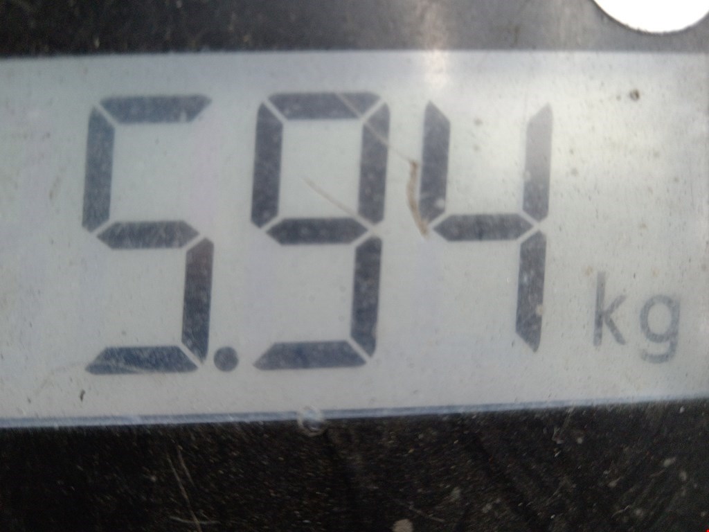 Коллектор впускной MAZDA MX 5 NB 1998-2005