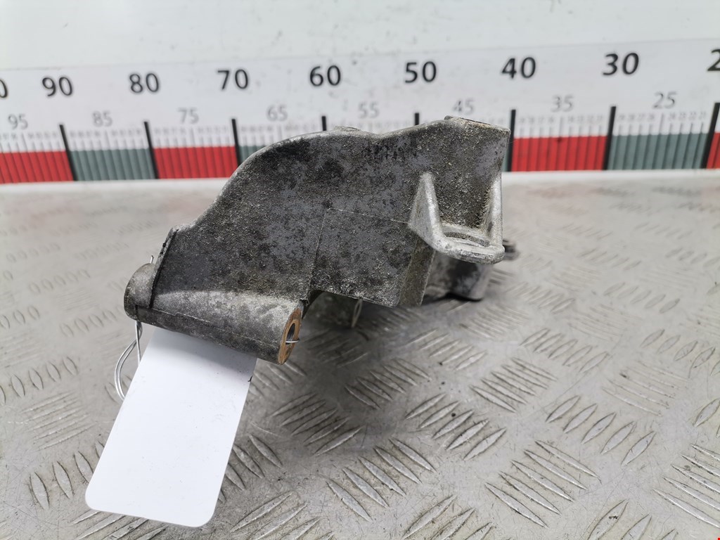 Кронштейн генератора RENAULT Scenic II 2003-2010