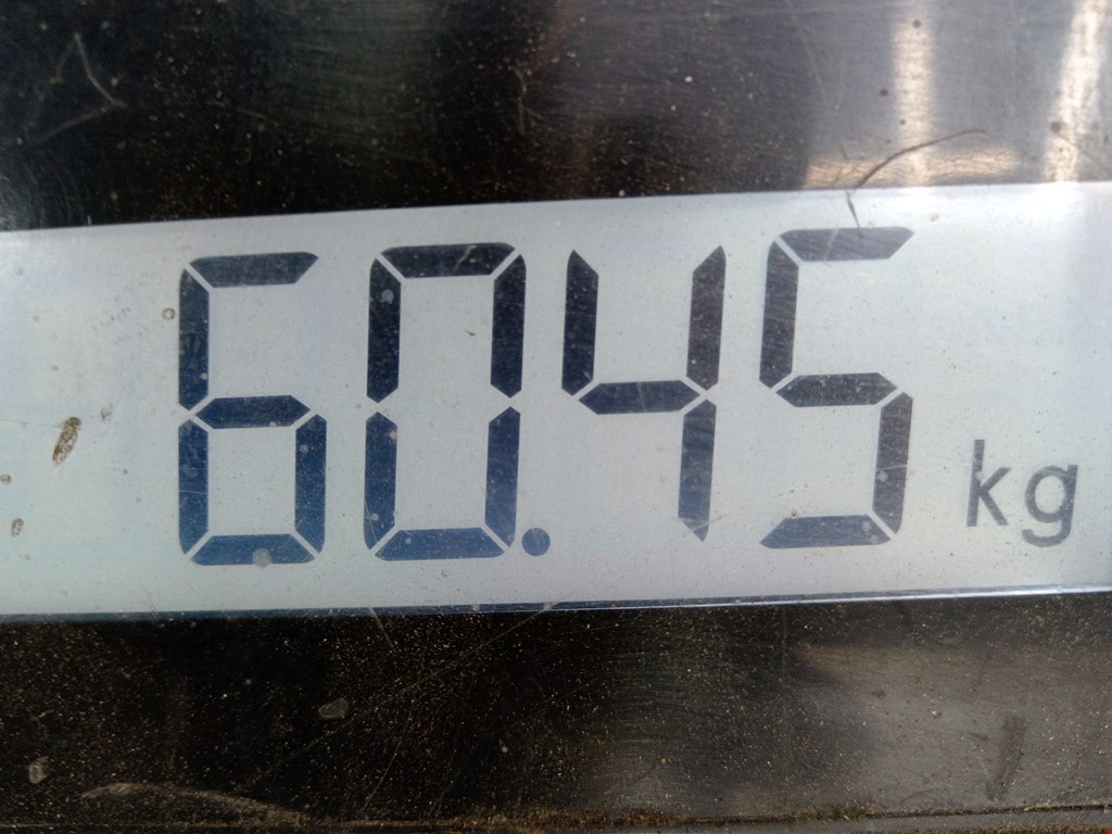 МКПП (Механическая коробка переключения передач) NISSAN X-Trail T31 2007-2015