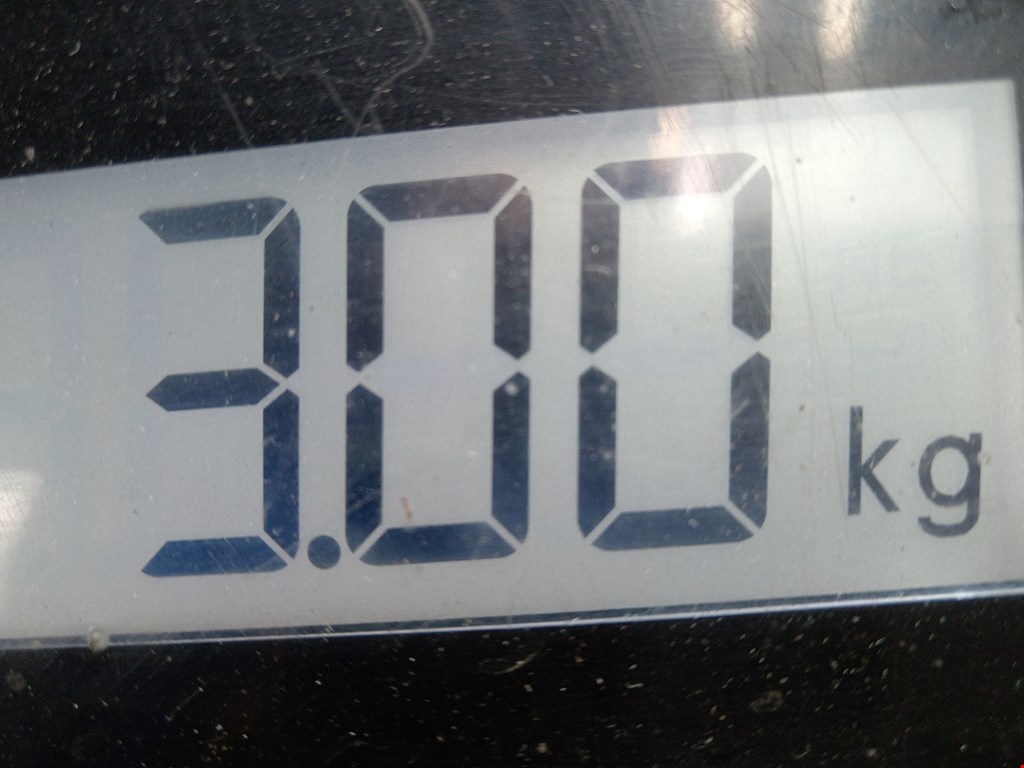 Коллектор впускной RENAULT Scenic III 2010-2015