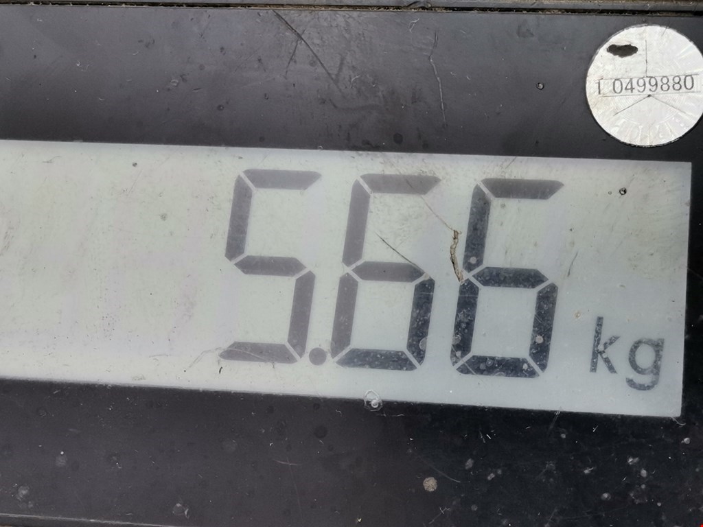 Генератор VOLKSWAGEN Jetta V 2005-2011