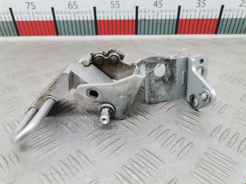 Петля двери задней левой Audi A6 C5 (1997-2005)