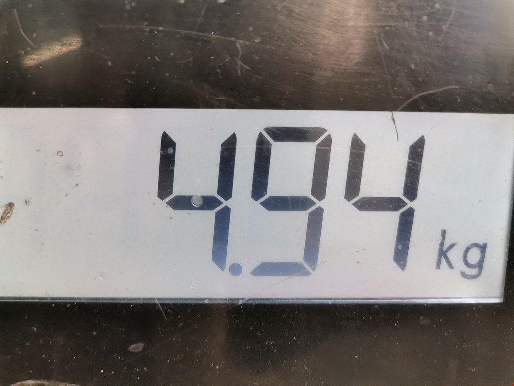 Бампер передний DACIA Sandero 2008-2012