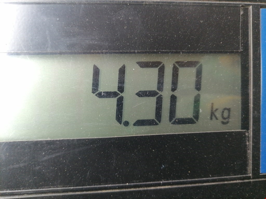 Усилитель переднего бампера (передний) CITROEN C8 2002-2014