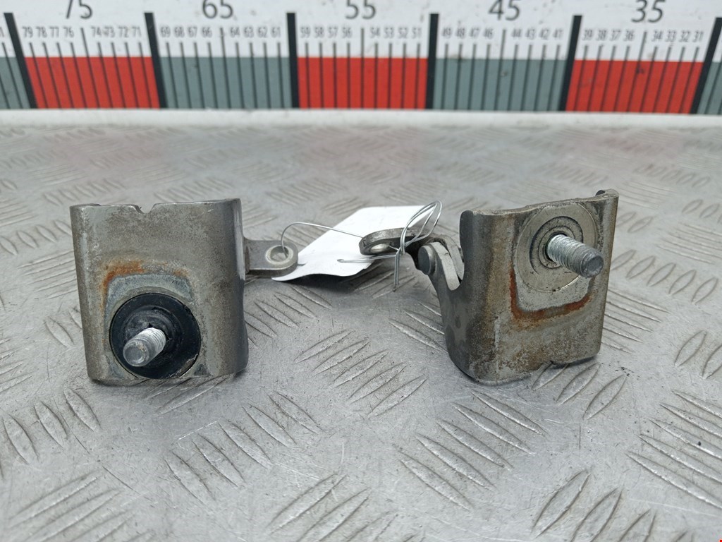 Петля крышки (двери) багажника Volkswagen Golf 5 (2003-2008)