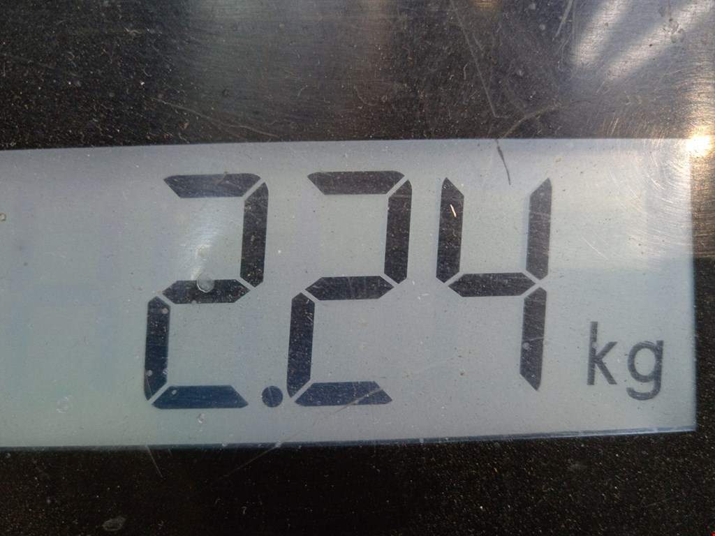 Вентилятор радиатора основного VOLKSWAGEN Bora 1998-2005