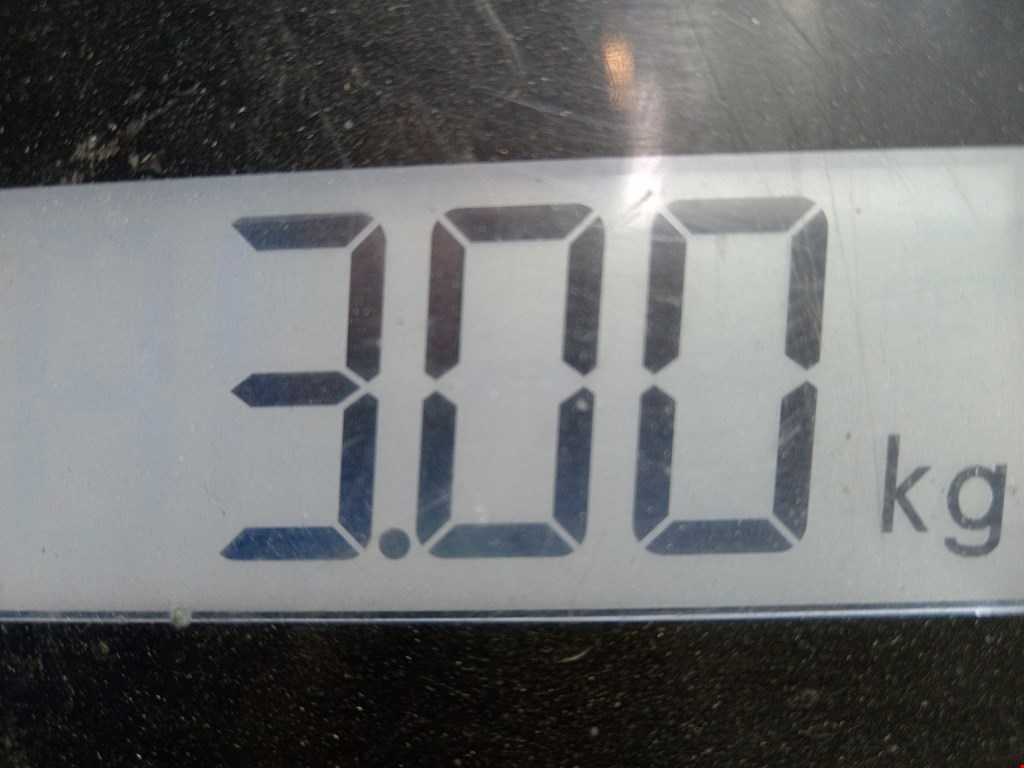 Стартер RENAULT Kangoo 1997-2008