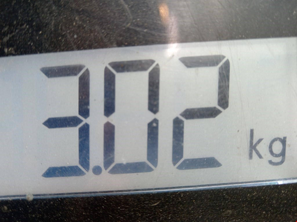 Стартер RENAULT Megane II 2002-2009