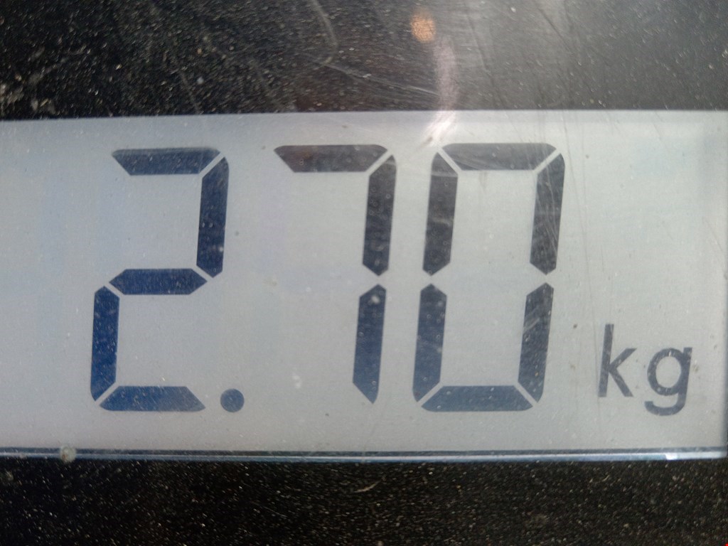 Стартер FORD Focus II 2005-2011