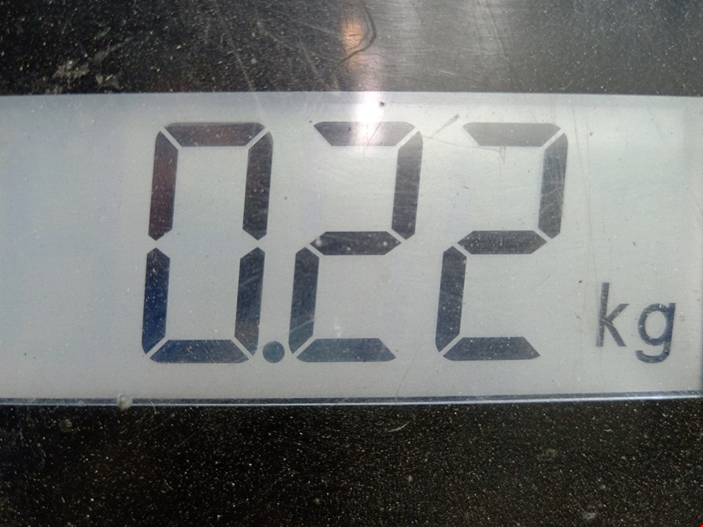 Сигнал звуковой (гудок клаксон) RENAULT Kangoo 2008-2021