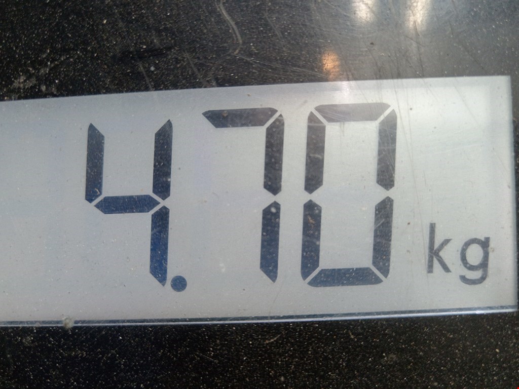 Фара левая MERCEDES-BENZ S-Class IV W220 1998-2005