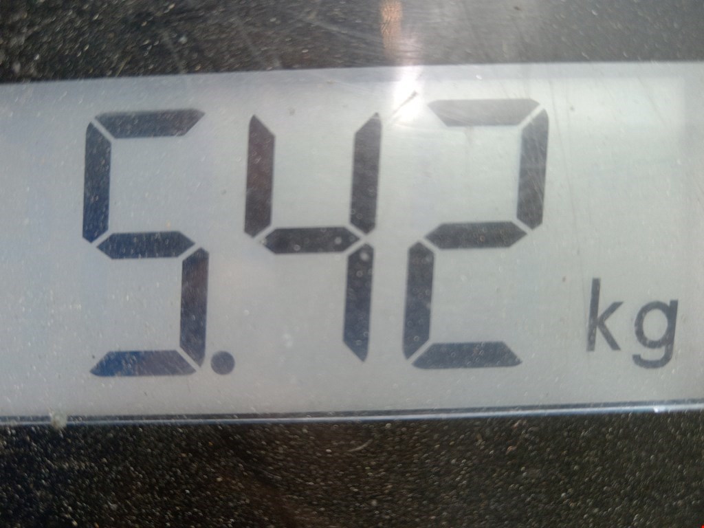 Стекло двери переднее левое LEXUS GS 1997-2005