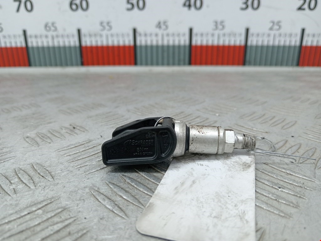 Датчик давления в шине BMW X5 (G05) (2018-2023)