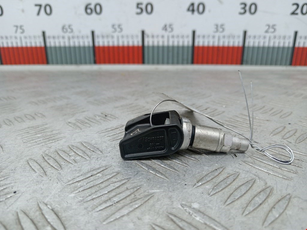 Датчик давления в шине BMW X5 (G05) (2018-2023)