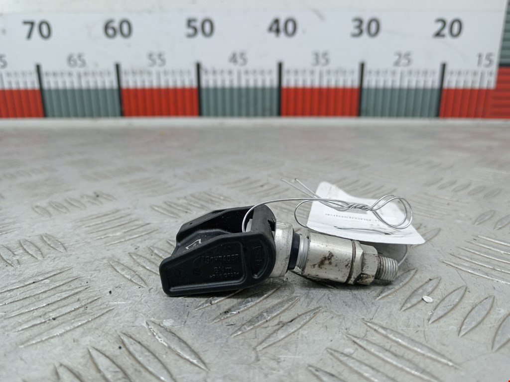 Датчик давления в шине BMW X5 (G05) (2018-2023)